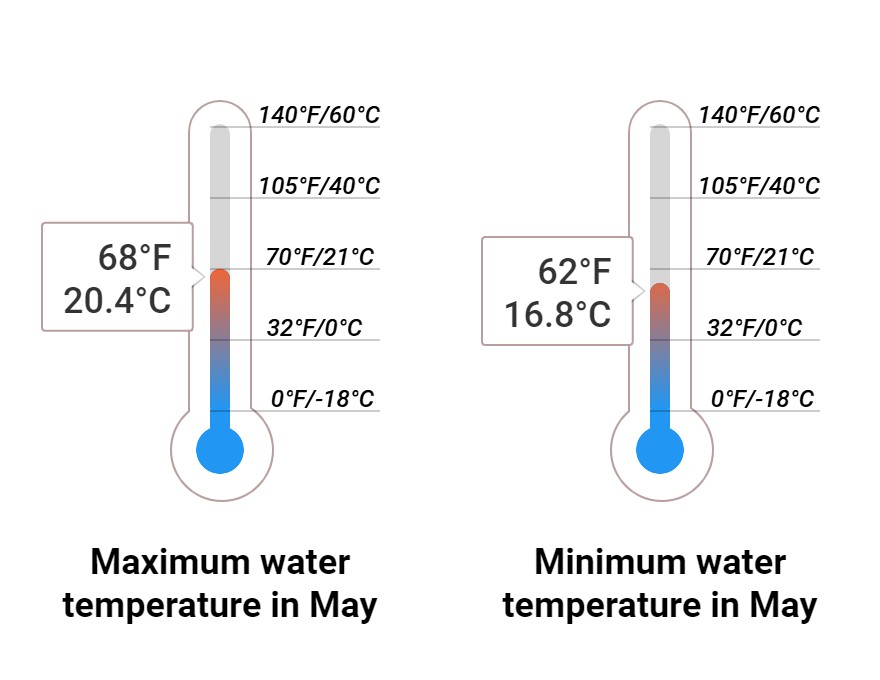 Average Sea temperature